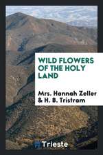 Wild Flowers of the Holy Land