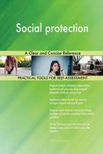 Social protection A Clear and Concise Reference