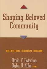 Shaping Beloved Community