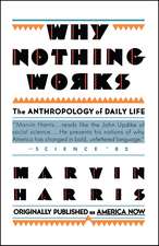 Why Nothing Works: The Anthropology of Daily Life