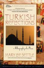 Turkish Reflections