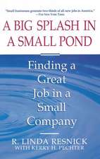 A Big Splash in a Small Pond : Finding a Great Job in a Small Company