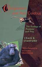 Chimpanzee & Red Colobus – The Ecology of Predator Predator and Prey