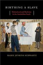 Birthing a Slave – Motherhood and Medicine in the Antebellum South