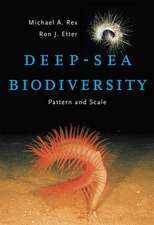 Deep–Sea Biodiversity – Pattern and Scale