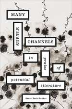 Many Subtle Channels – In Praise of Potential Literature