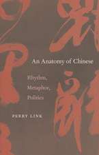 An Anatomy of Chinese – Rhythm, Metaphor, Politics