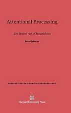 Attentional Processing