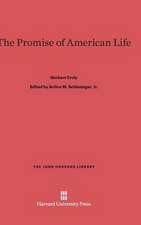 The Promise of American Life