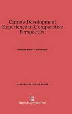 China's Development Experience in Comparative Perspective