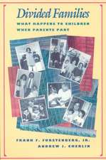 Divided Families – What Happens to Children When Parents Part (Paper)