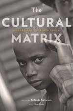 The Cultural Matrix – Understanding Black Youth