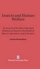 Insects and Human Welfare