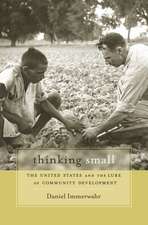 Thinking Small – The United States and the Lure of Community Development