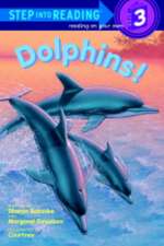 Dolphins!