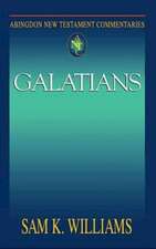 Abingdon New Testament Commentaries: Galatians