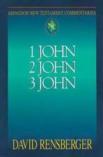 Abingdon New Testament Commentaries: 1, 2, & 3 John