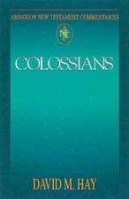 Abingdon New Testament Commentaries: Colossians