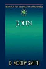 Abingdon New Testament Commentaries: John