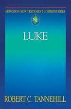 Abingdon New Testament Commentaries: Luke