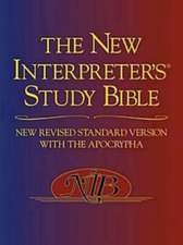 New Interpreter's Study Bible-NRSV