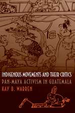 Indigenous Movements and Their Critics – Pan–Maya Activism in Guatemala