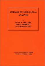 Seminar on Micro-Local Analysis