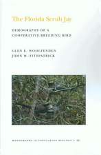 The Florida Scrub Jay