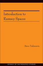 Introduction to Ramsey Spaces (AM–174)