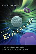 Euler`s Gem – The Polyhedron Formula and the Birth of Topology