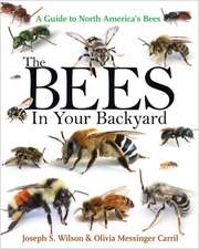 The Bees in Your Backyard – A Guide to North America`s Bees