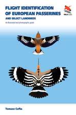 Flight Identification of European Passerines and – An Illustrated and Photographic Guide