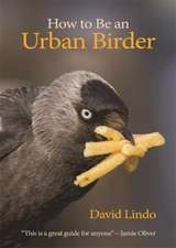 How to Be an Urban Birder