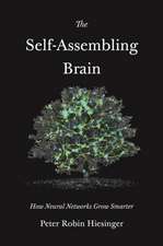 The Self–Assembling Brain – How Neural Networks Grow Smarter