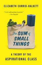 The Sum of Small Things – A Theory of the Aspirational Class