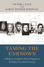 Taming the Unknown – A History of Algebra from Antiquity to the Early Twentieth Century