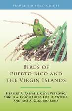 Birds of Puerto Rico and the Virgin Islands – Fully Revised and Updated Third Edition