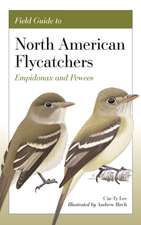 Field Guide to North American Flycatchers – Empidonax and Pewees