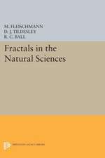 Fractals in the Natural Sciences (Paper)