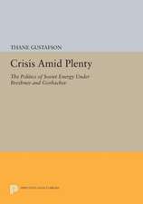 Crisis Amid Plenty: The Politics of Soviet Energy Under Brezhnev and Gorbachev