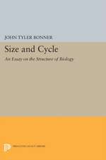 Size and Cycle