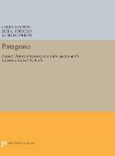 Patagonia