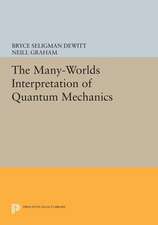 The Many–Worlds Interpretation of Quantum Mechanics