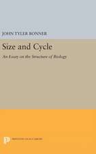 Size and Cycle