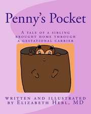 Penny's Pocket: A tale of a sibling brought home through a gestational carrier