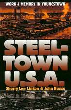 Steeltown U.S.A.: Work and Memory in Youngstown