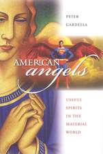 American Angels: Useful Spirits in the Material World