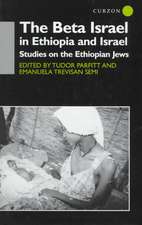 The Beta Israel in Ethiopia and Israel: Studies on the Ethiopian Jews