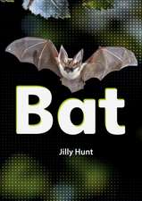 Set 02 - Bat