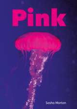 Set 04 - Pink